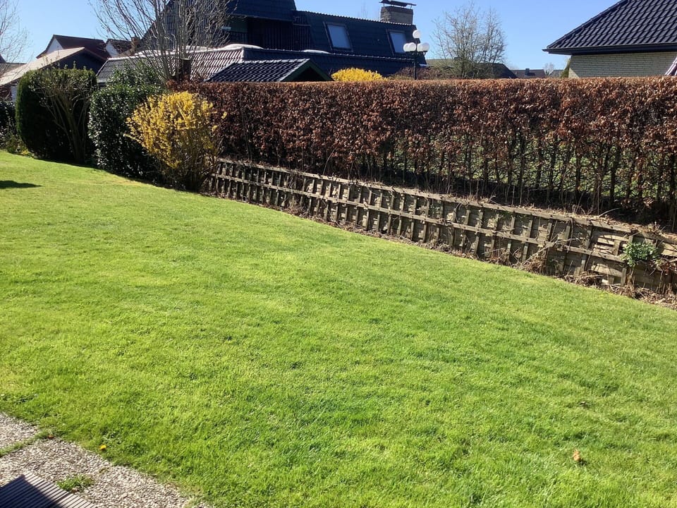 House | Garden