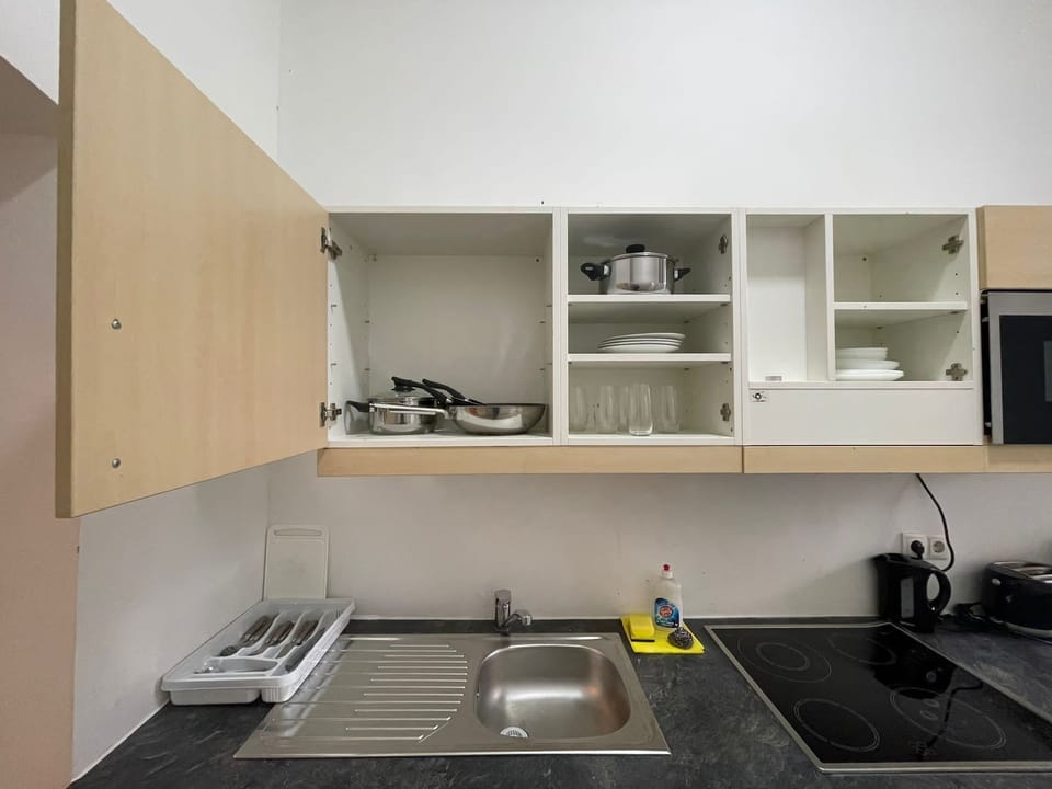 Basic Studio | Private kitchen | Microwave, oven, stovetop, dishwasher