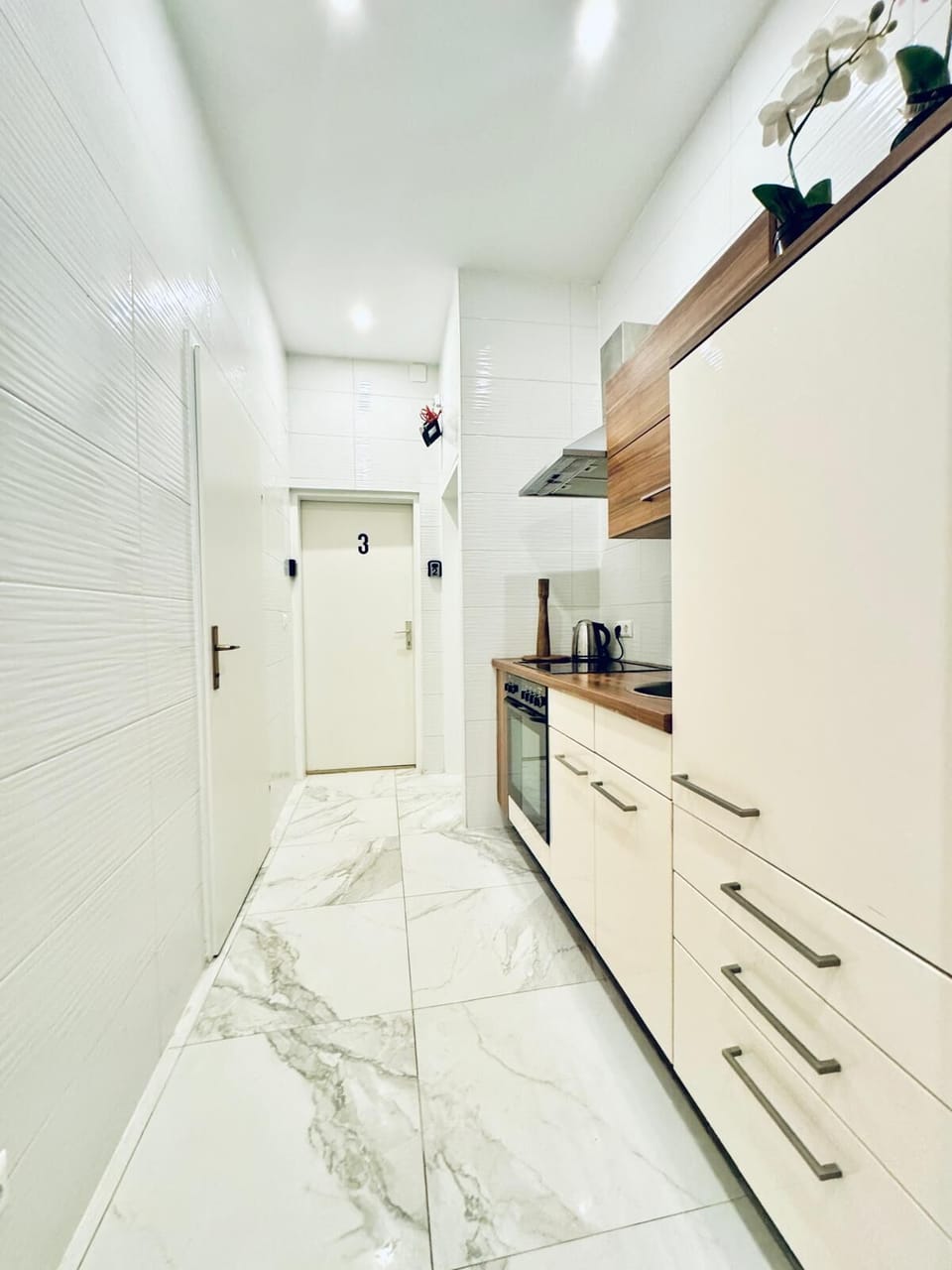 Basic Apartment | Private kitchen | Oven, stovetop, cookware/dishes/utensils