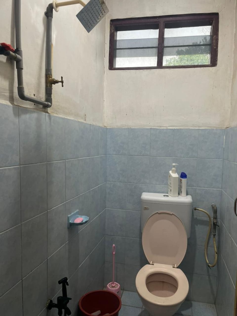 Shower, bidet, towels, soap