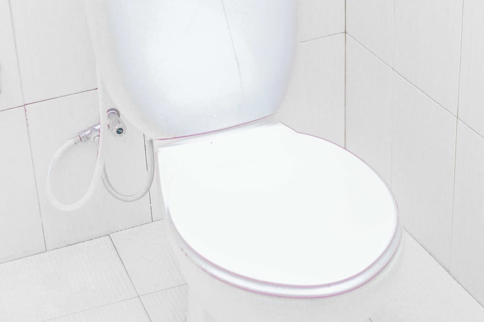 Deluxe Family Room | Bathroom | Shower, free toiletries, towels