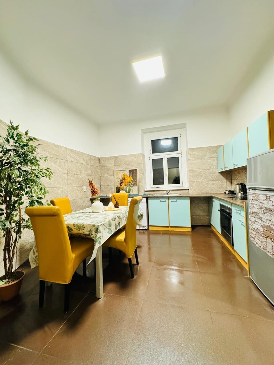 Basic Apartment | Private kitchen | Fridge, microwave, oven, stovetop