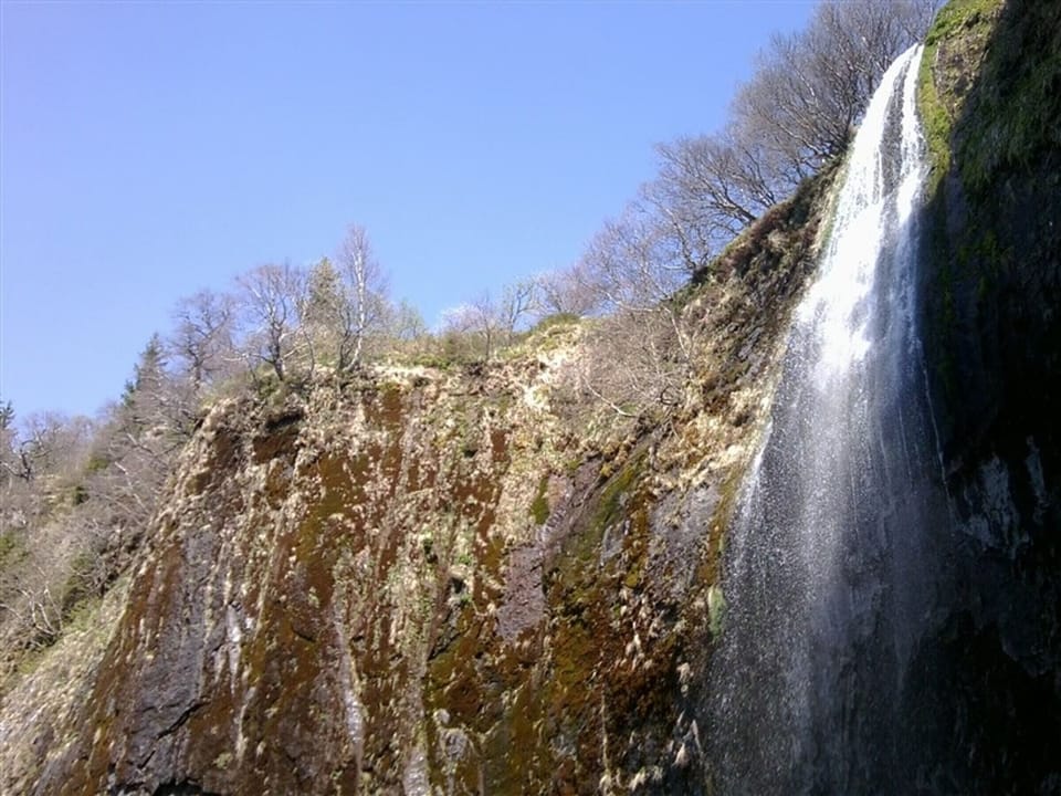 Miscellaneous