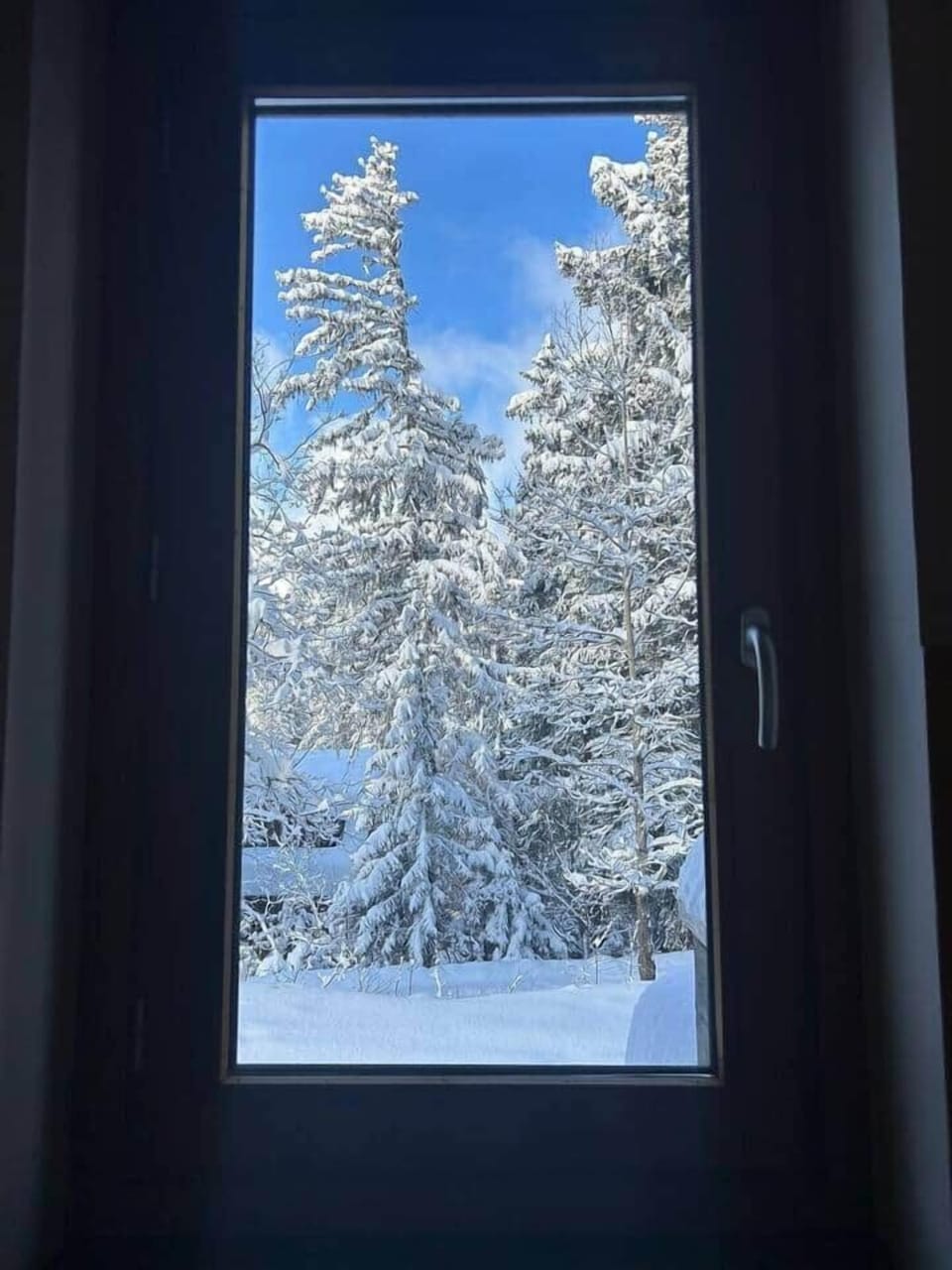 View from bedroom 3