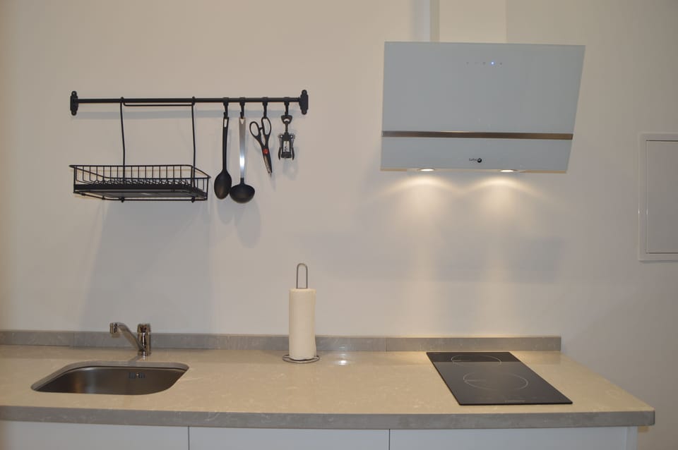 Superior Studio | Private kitchen | Full-size fridge, microwave, stovetop, espresso maker