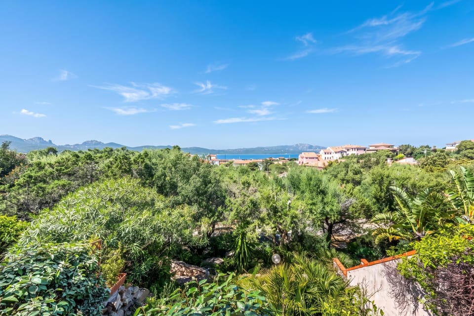 Family Apartment, 2 Bedrooms, Terrace (Aironi 34) | Miscellaneous