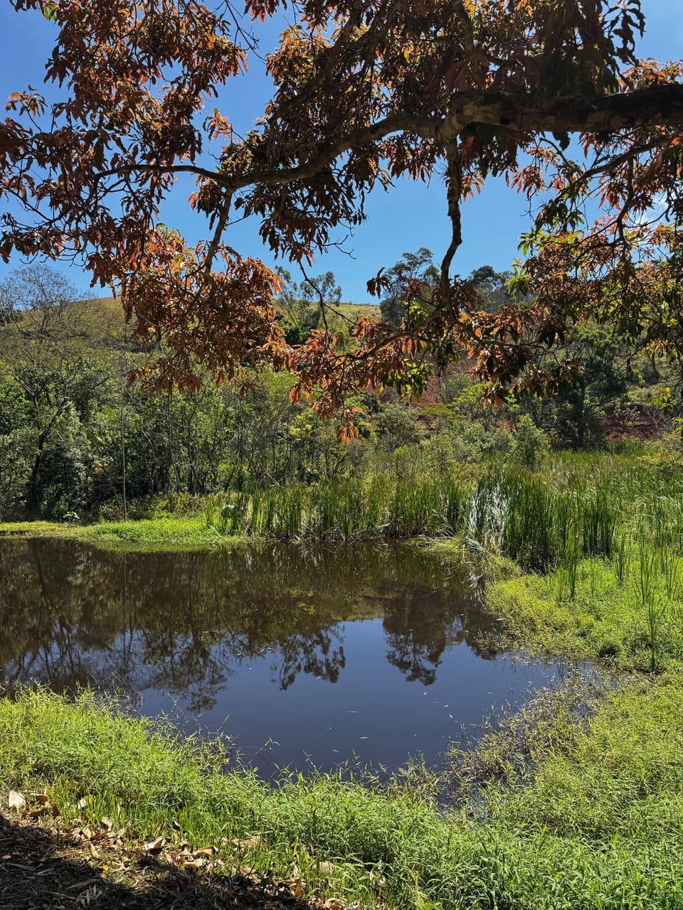 Lake
