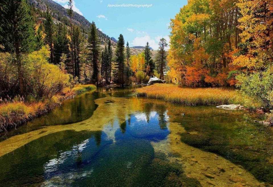 Fall In Mammoth!