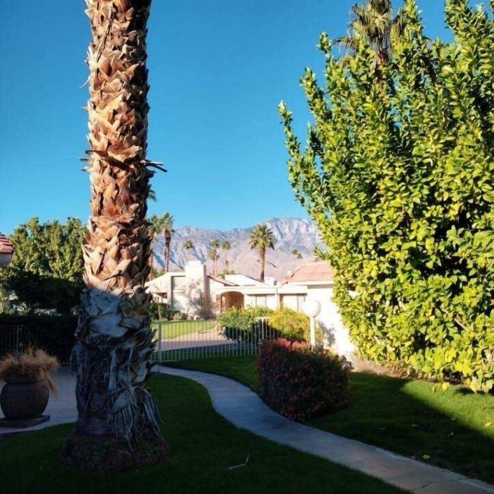 Looking from Patio to the Left