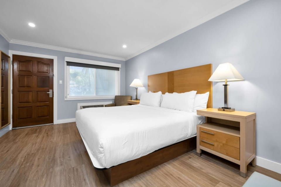 Deluxe King Room - This room comes with the comfort of a plush king bed.