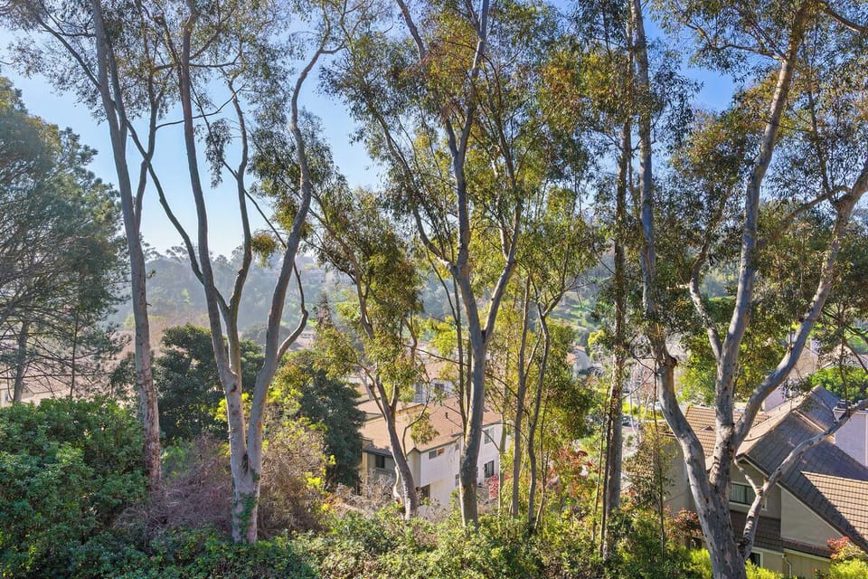 Patio View