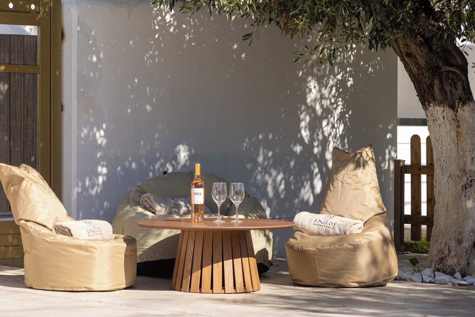 Outdoor Lounge Corner Under an Olive Tree Canopy
Cozy shaded seating area ideal for afternoon relaxing or evening drinks.