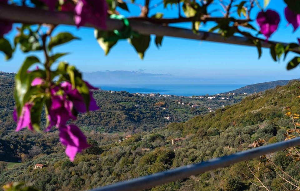 view-from-room