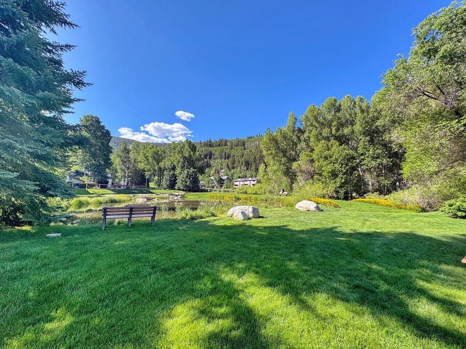 Neighborhood pond along walking paths, find peaceful spots like this throughout Eagle-Vail. Morning walks reveal hidden nature areas where kids explore and you actually slow down. Summer calm personified