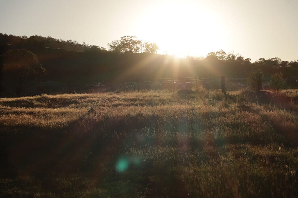 Golden Hour