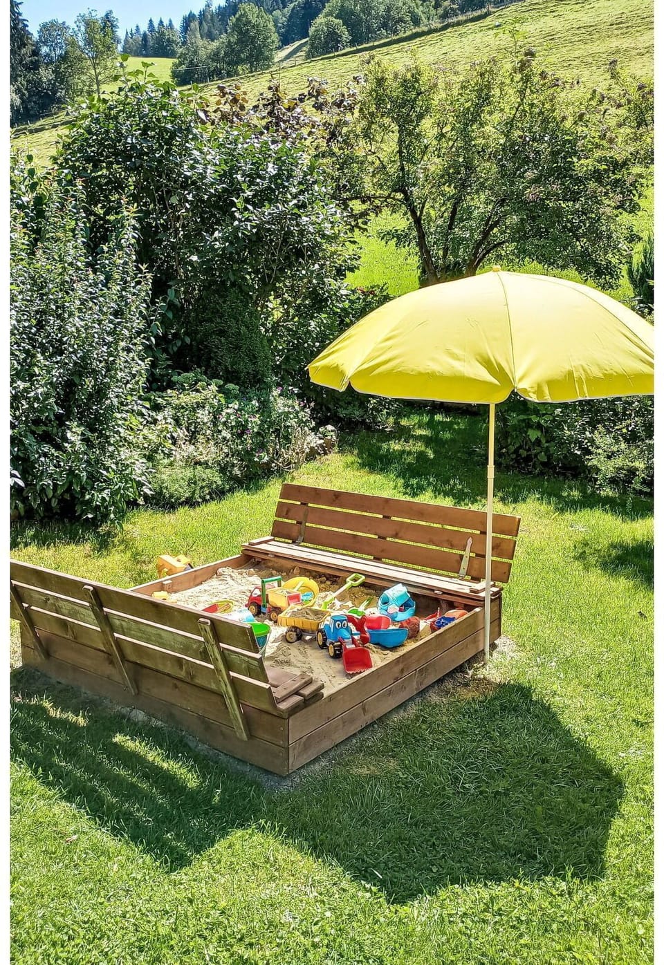Plant, Plant Community, Umbrella, Tree, Natural Landscape, Botany, Land Lot, Outdoor Furniture, Grass, Landscape