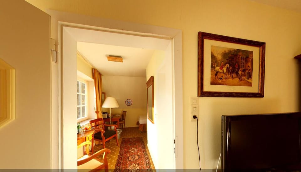 Junior Double Room, Garden View | Desk, laptop workspace, iron/ironing board, free WiFi
