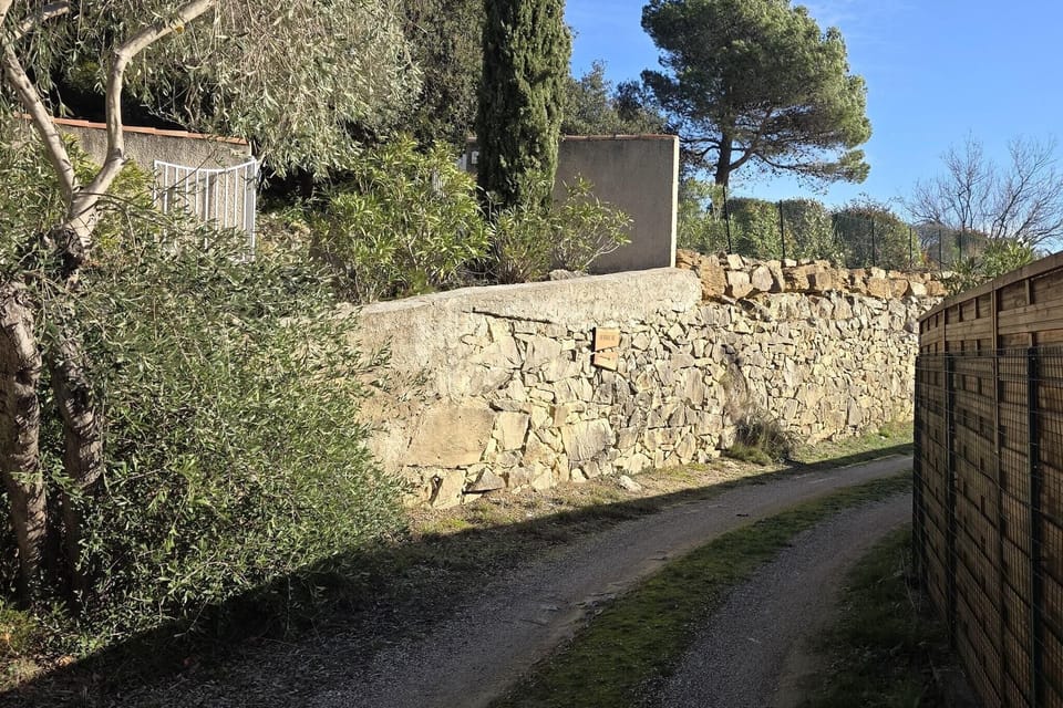 Entrance / Reception