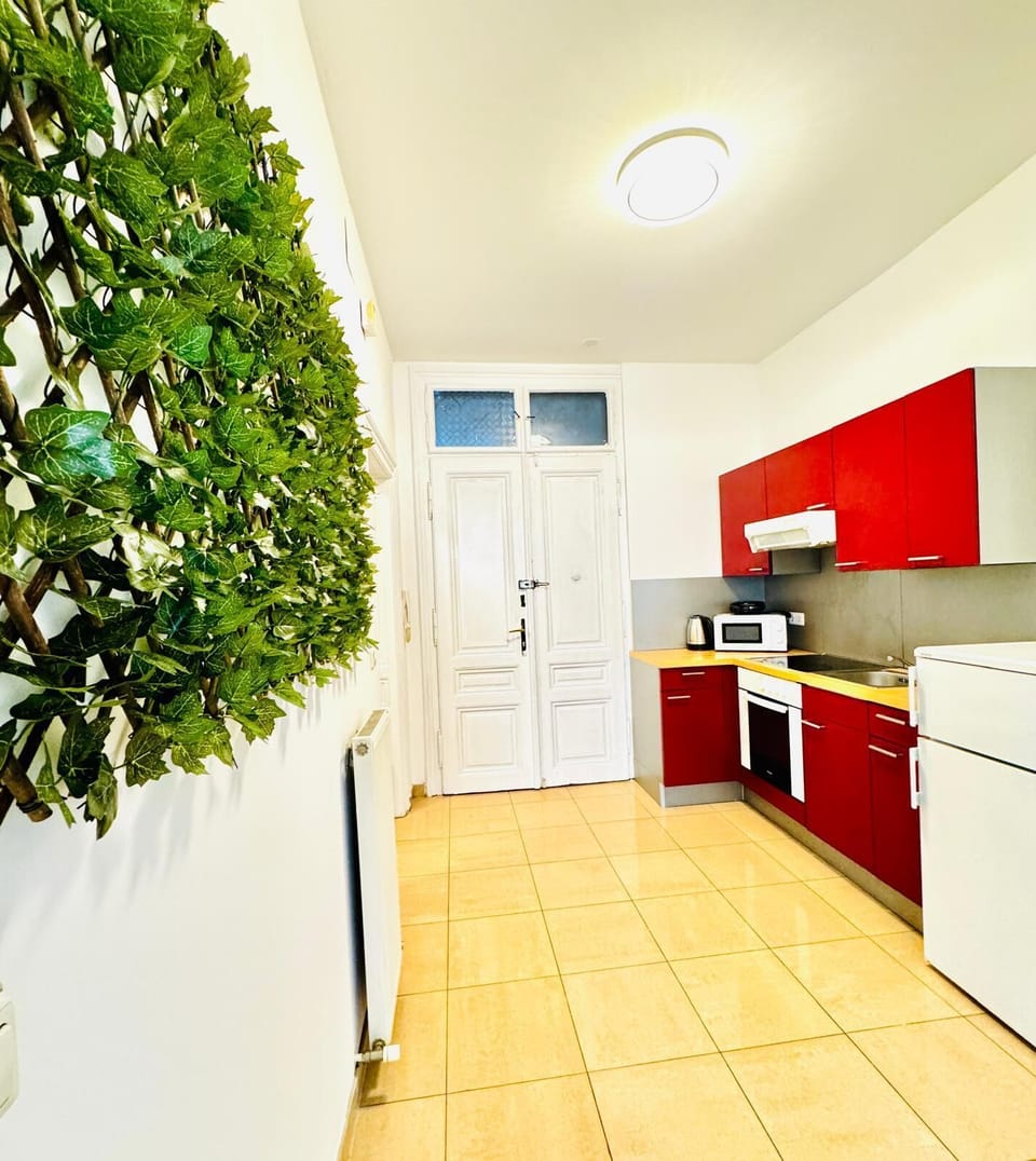 Basic Apartment | Private kitchen | Fridge, microwave, oven, stovetop