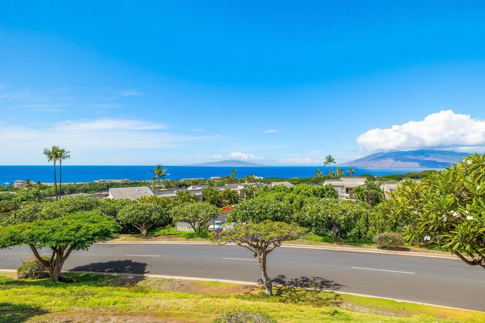 Views stretch into ocean horizons, palms and rooftops rising beneath clear skies.
