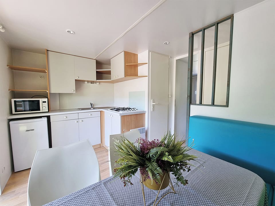 Comfort Cabin, Mountain View | Private kitchen | Mini-fridge, microwave, stovetop