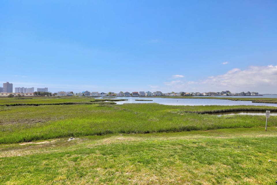 Amazing wetland views.
