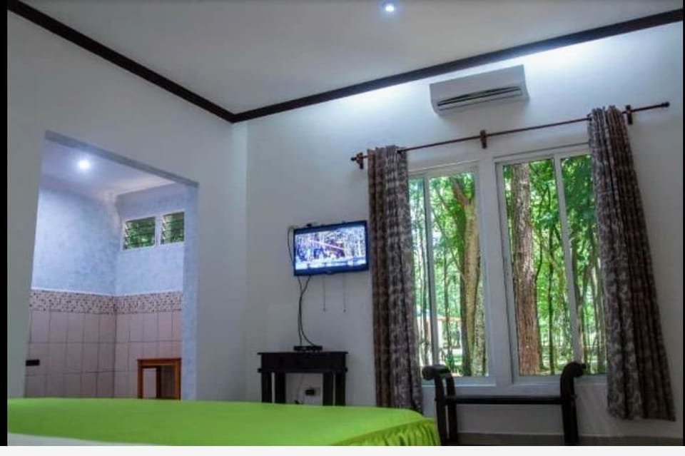 Deluxe Single Room | Blackout drapes, WiFi (free), bed sheets