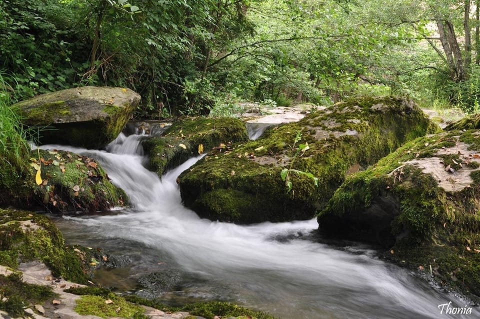 Miscellaneous