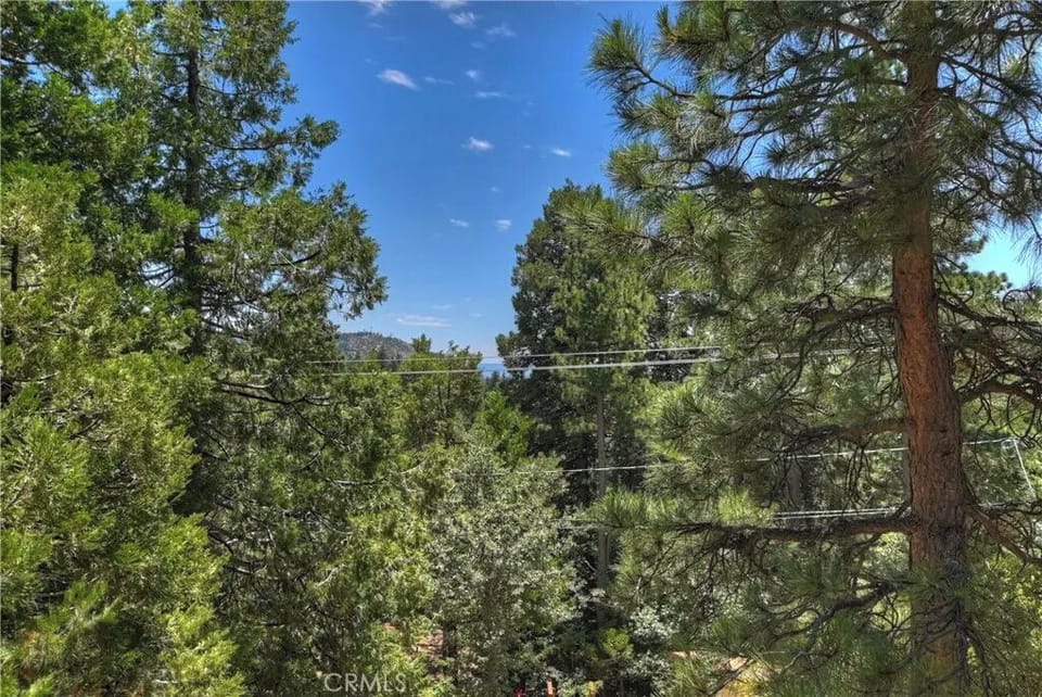 Surrounded by national forest — peaceful, pet-friendly yard & trails
