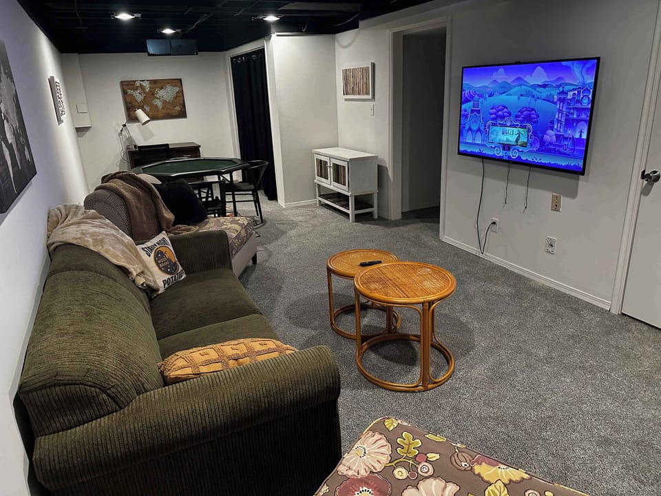 Basement Living Room