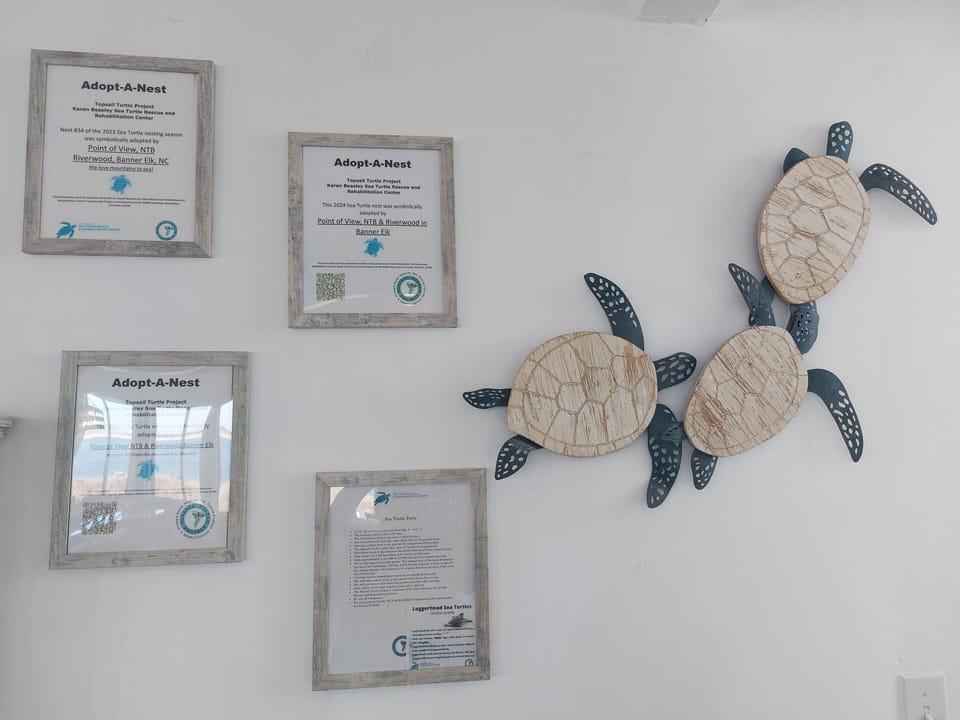 Each year we have been adopting a sea turtle nest to help protect them!