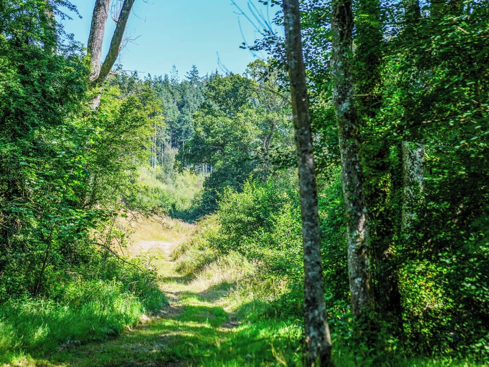 Surrounding area | Binneford Holiday lodges - Primrose Lodge - Binneford Holiday Lodges, Hittisleigh