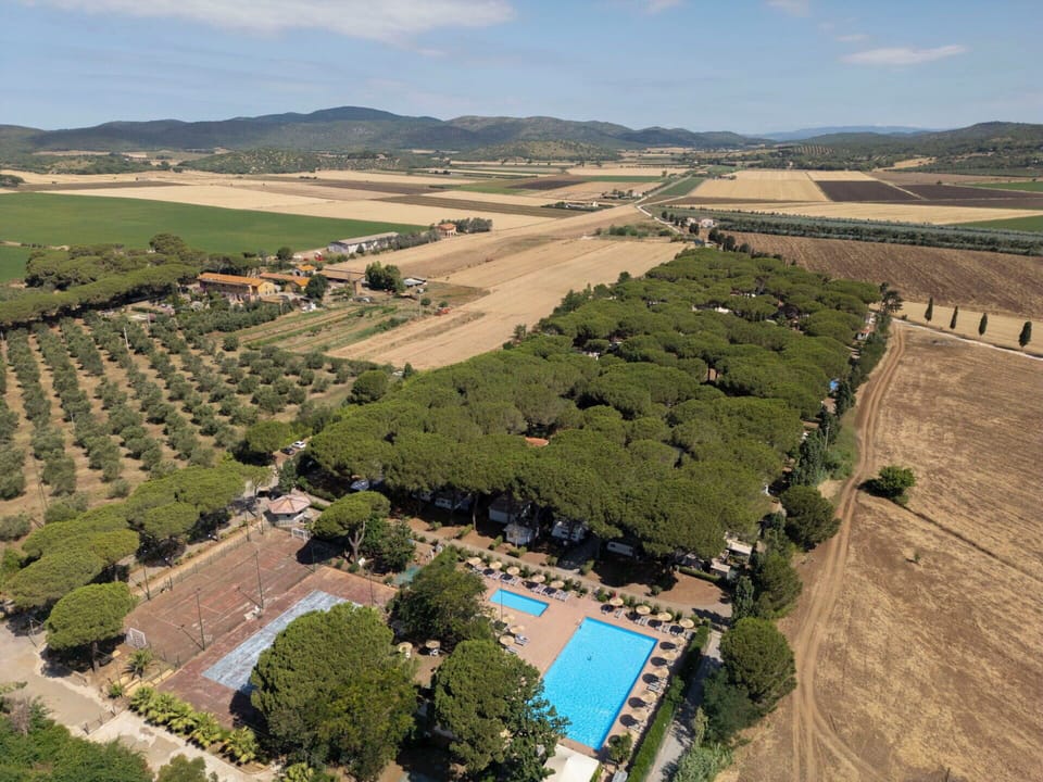 Swimming Pool, Leisure, Resort