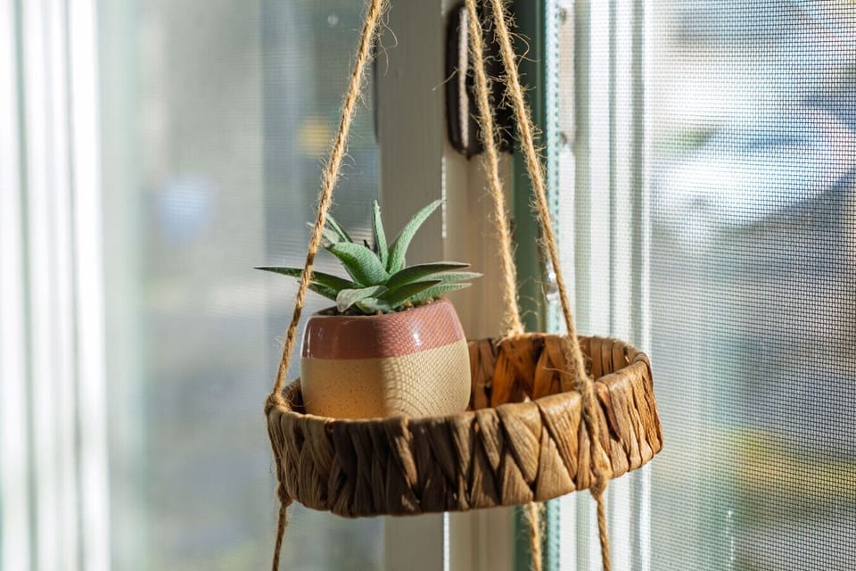 Breathe life into your stay with our vibrant plant, adding a touch of nature to your cozy retreat! 🌿🌱