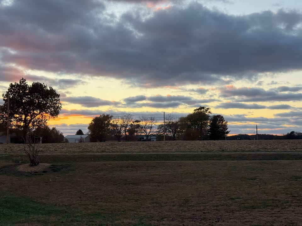 Miscellaneous