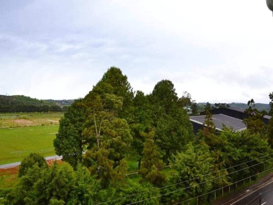 Deluxe Double or Twin Room, Garden View | Desk, iron/ironing board, free WiFi