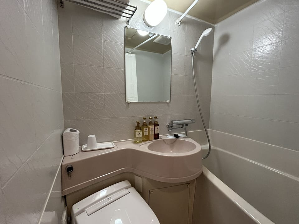Single Room, Non Smoking | Bathroom | Combined shower/tub, hair dryer, slippers, bidet