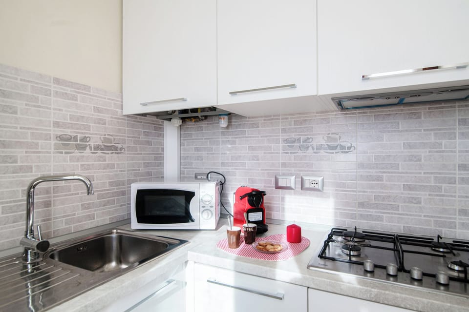 Apartment, Lake View | Private kitchen | Full-size fridge, oven, stovetop, dishwasher