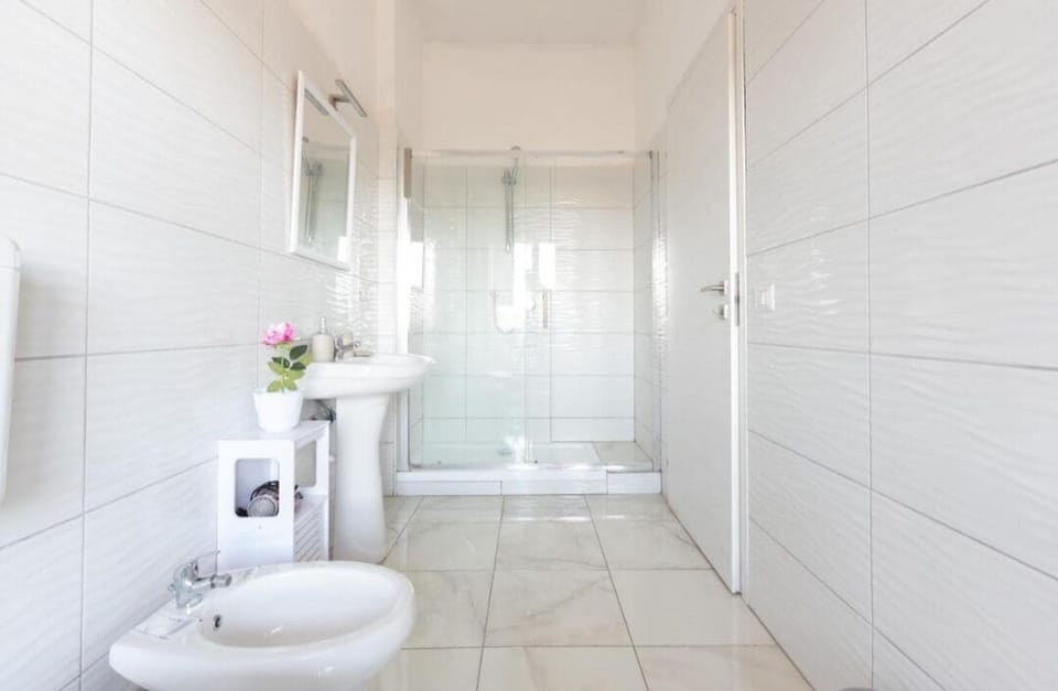 Hair dryer, bathrobes, bidet, towels