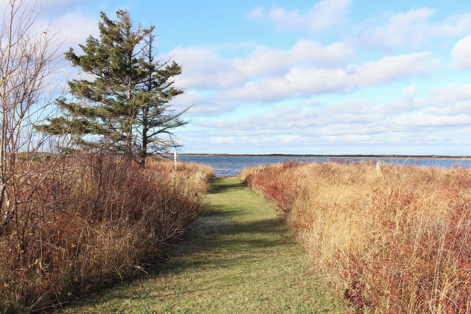 Path to the beach, which is directly across from the cottage