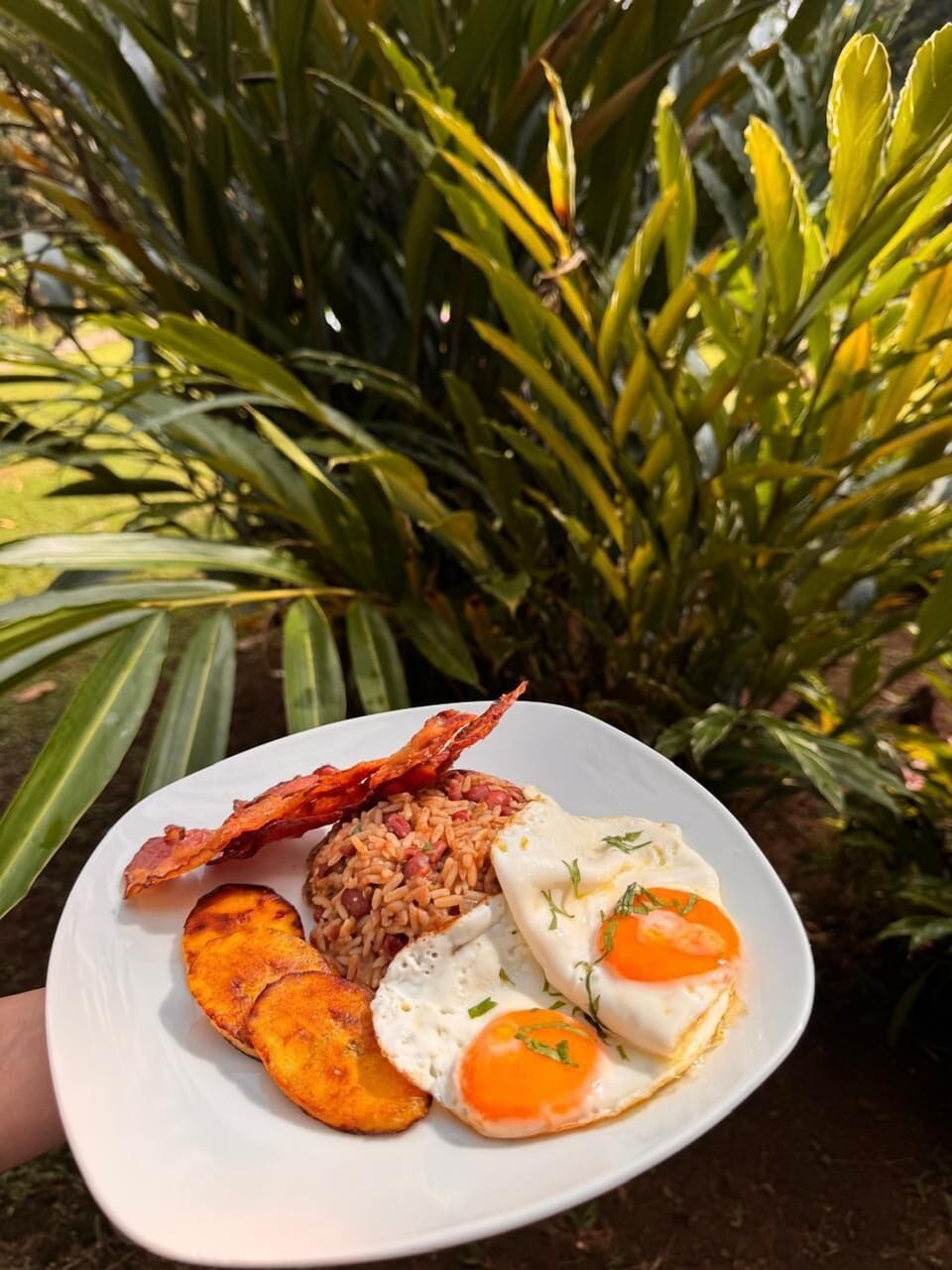 Free daily cooked-to-order breakfast