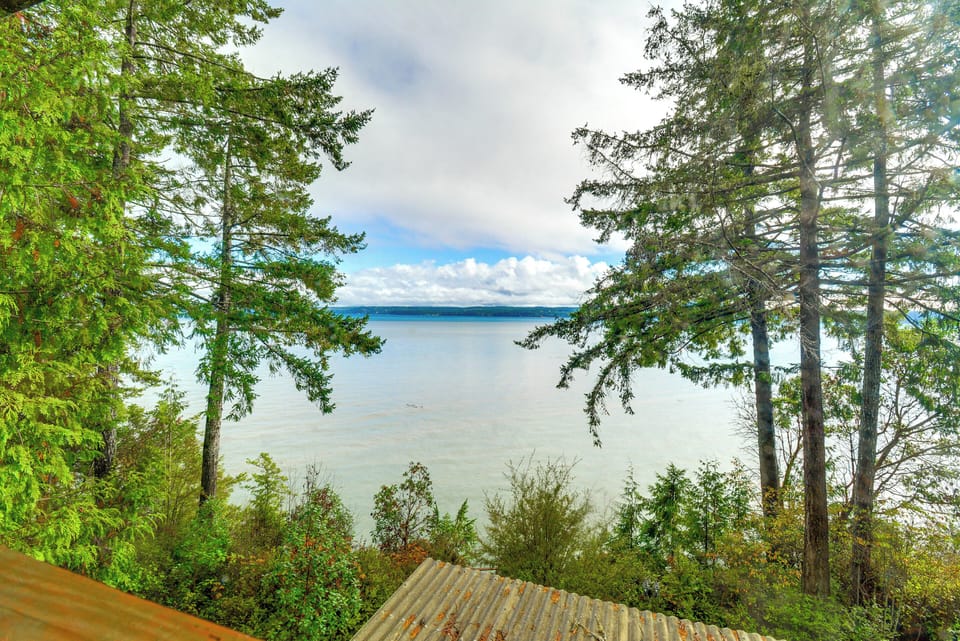 Hood Canal Views
