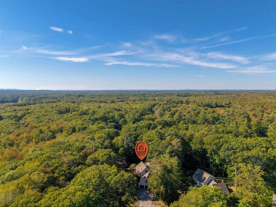 Aerial View​