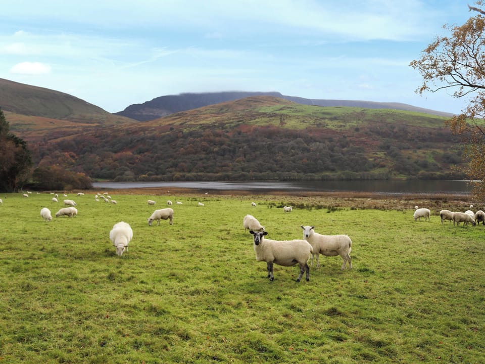Surrounding area | Wenallt Cottage, Nantlle, near Caernarfon