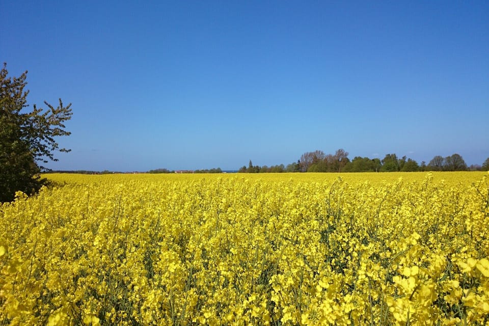 Surroundings [summer] (1-5 km)