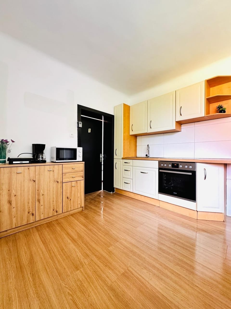 Basic Apartment | Private kitchen | Fridge, microwave, oven, stovetop