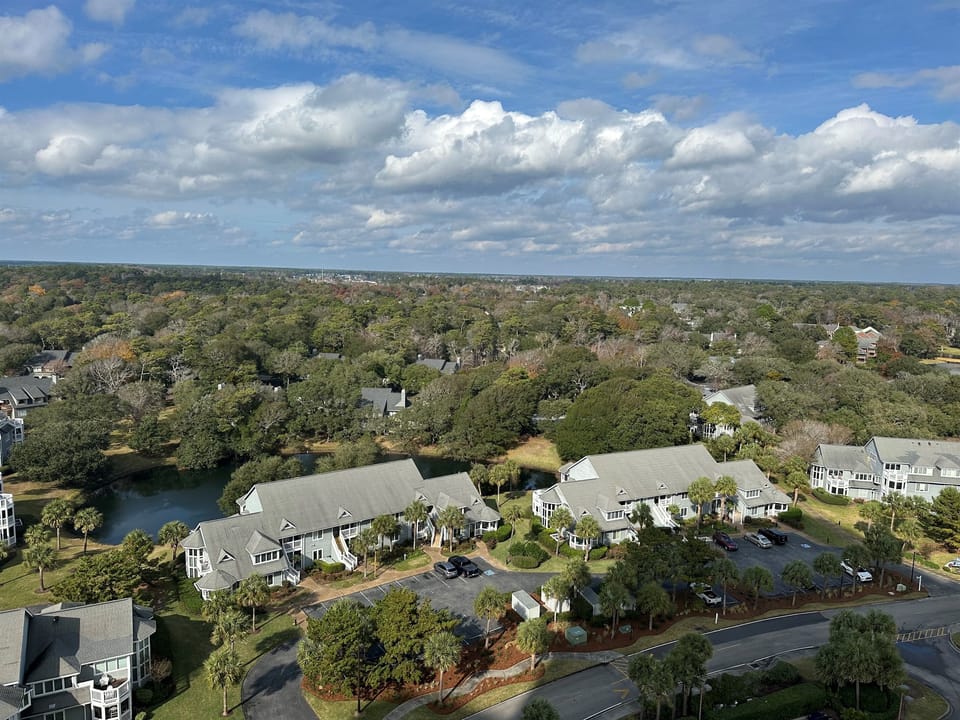 Plantation Views