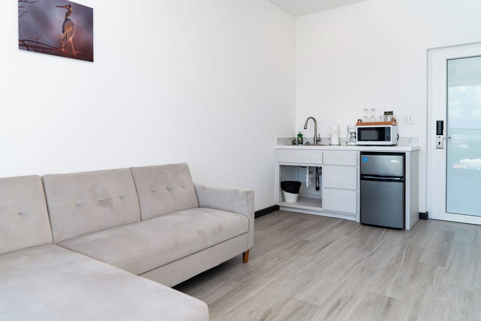 Living Room w/sink, mini fridge & microwave