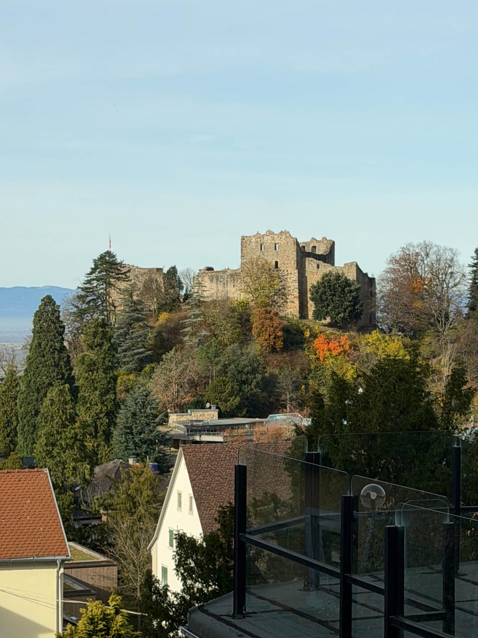 IMG 0602