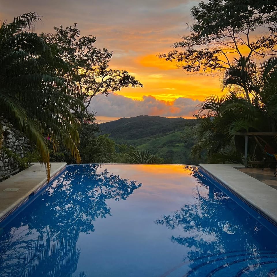 Shared infinity pool with ocean views.